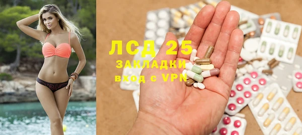 спайс Няндома