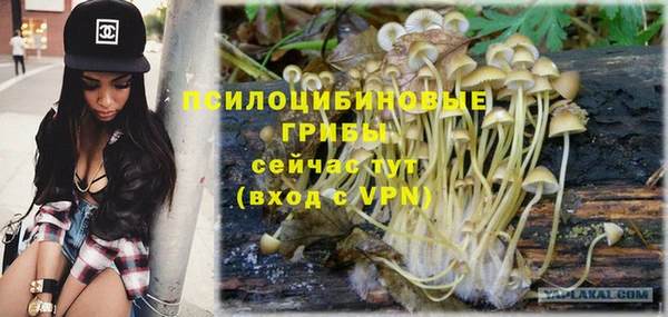 эйфоретик Новодвинск