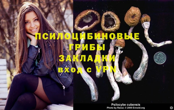 MDMA Premium VHQ Нязепетровск