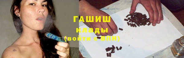индика Туринск