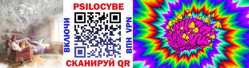 Псилоцибиновые грибы Psilocybe  закладки  Инта 